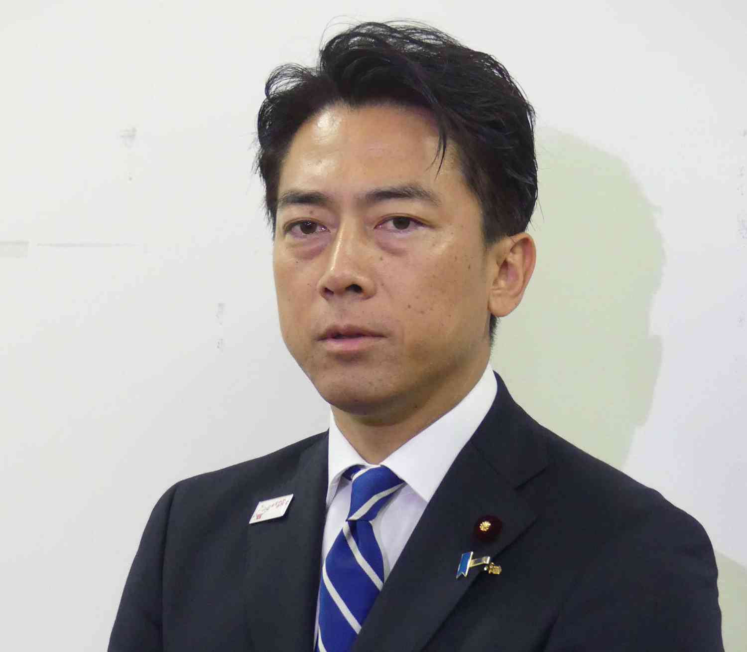 宮崎謙介氏が指摘、小泉氏の敗戦理由は「重鎮いらない」陣営発言　青山和弘氏「麻生さんの耳に」（日刊スポーツ） - Yahoo!ニュース