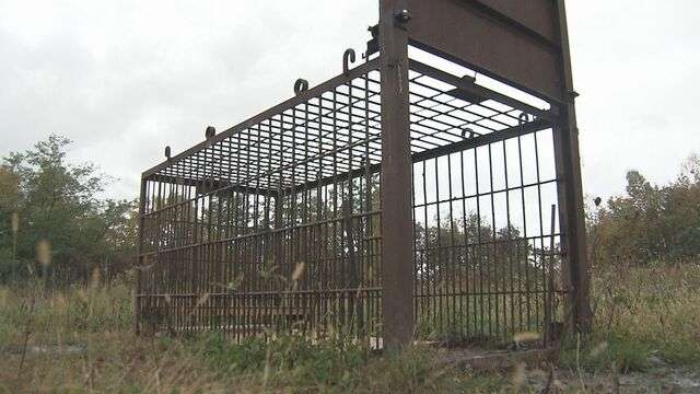 後志・積丹町で猟友会が“出動拒否” クマ出没相次ぐ中、町議とのトラブルで先月から(北海道)