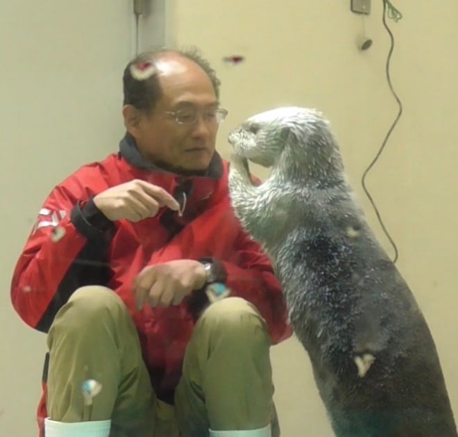 ラッコの24時間ライブ配信“カスハラ”対応で飼育員にモザイク処理 三重の鳥羽水族館 不適切な言動や問い合わせから従業員守るため