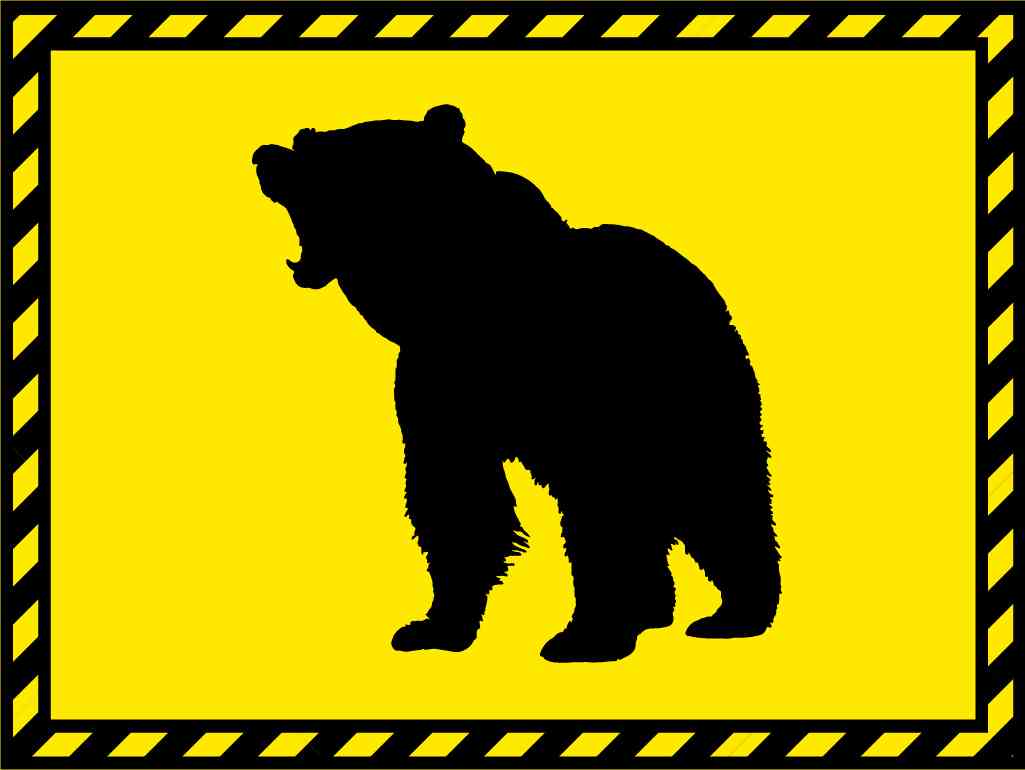 山林測量中クマ、2人軽傷 新潟・上越(共同通信) - Yahoo!ニュース