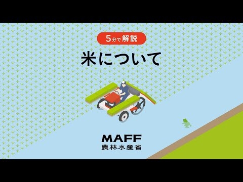 【５分で解説】米について