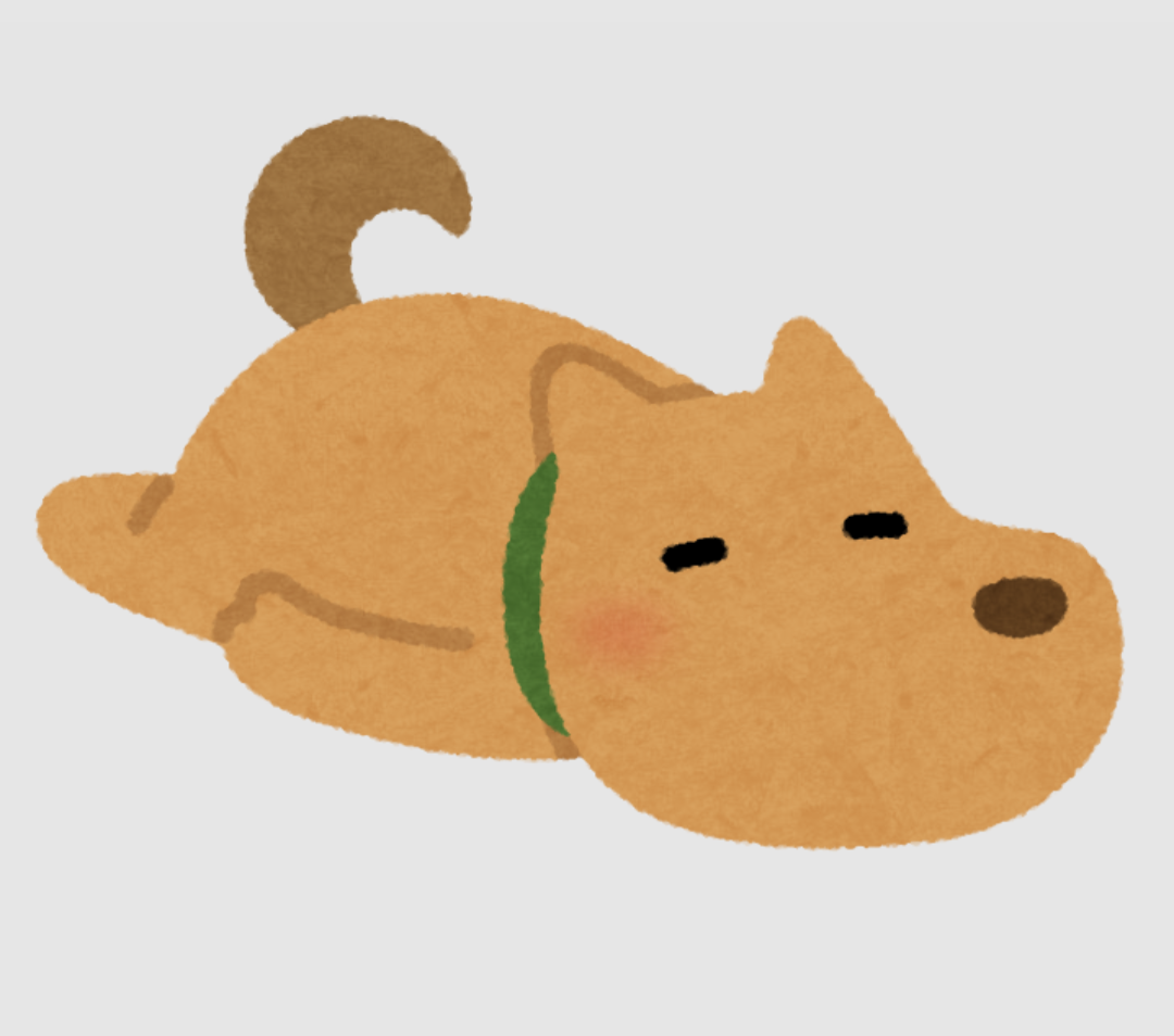 🐾ちょっとビビリ犬🐾エピソード募集