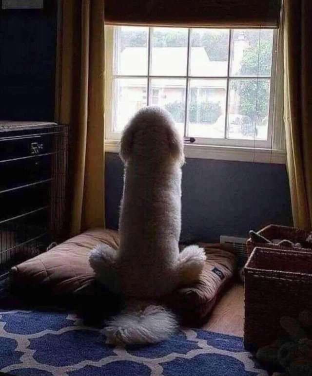 【ネタ注意】全くエロくないのにそういう風に見える画像を貼るトピ Part7