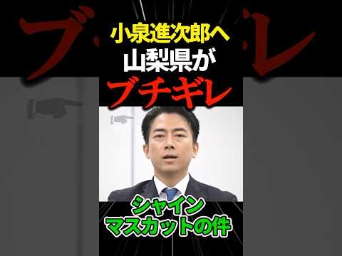 【小泉進次郎】なぜ日本の貴重な文化や技術を海外へ渡すのか？