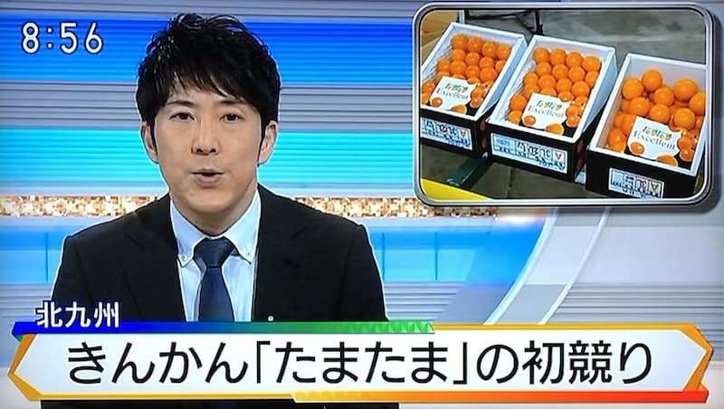 【ネタ注意】全くエロくないのにそういう風に見える画像を貼るトピ Part7