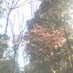 熊本の自然を守りたい人 on X