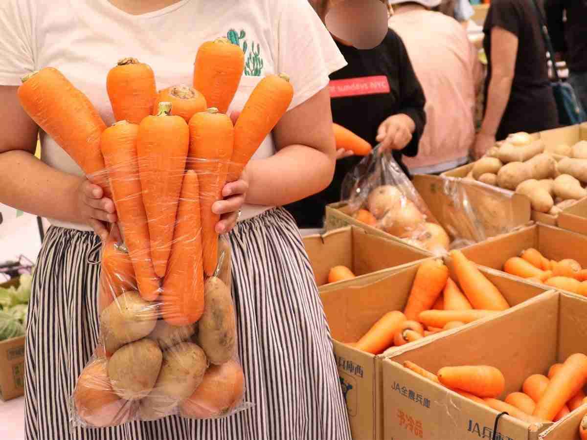 最近買い物しまくった方、何を買いましたか?