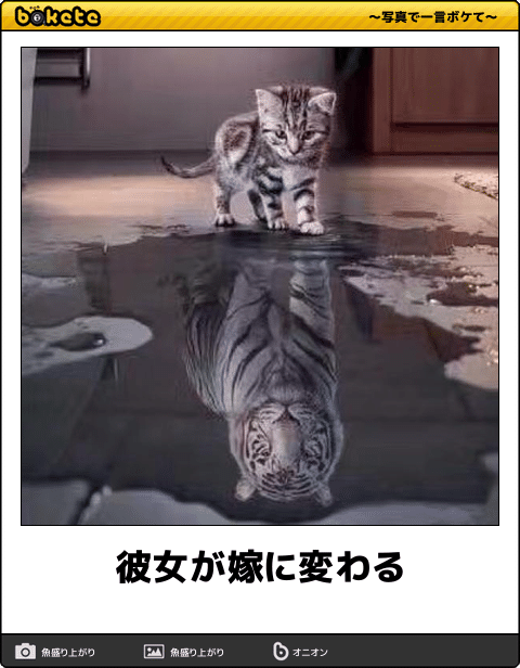 boketeで1000コメ以上を目指そう〜 part14〜