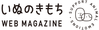 【調査】犬が好きな場所は？ソファや人の足元を好む理由｜獣医師解説