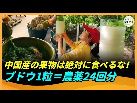 絶対に中国産の果物を食べるな！ブドウ1粒＝農薬24回分！すべての果物に膨張剤が……