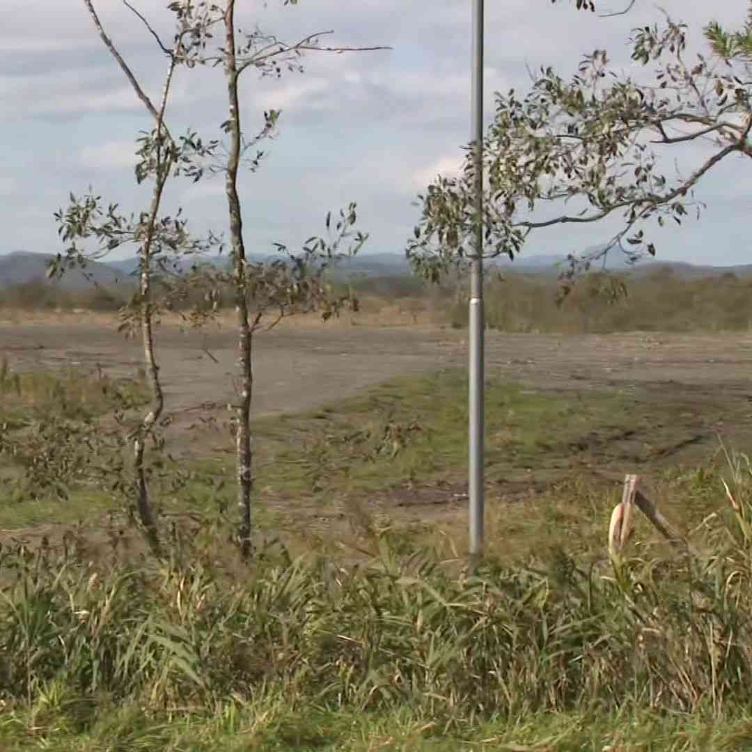 「現行法の枠組みの中で最適な着地点を」釧路湿原周辺に「約6600枚のメガソーラー」タンチョウなど希少生物への影響不透明＆森林法違反などで工事は一時中断…計画めぐり事業者と市が協議〈北海道〉（北海道ニュースUHB） - Yahoo!ニュース