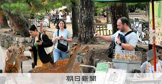 奈良のシカへの「暴行」はあるのか　観光客でにぎわう現場を歩いた [奈良県]：朝日新聞