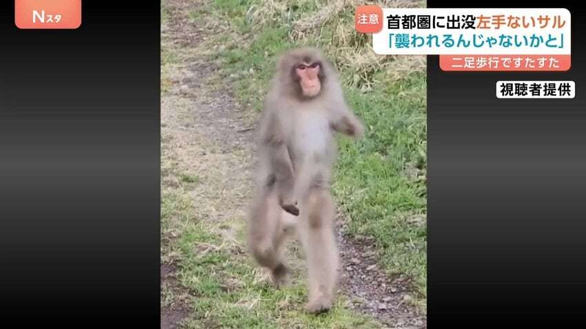 人類がここまで進化した要因