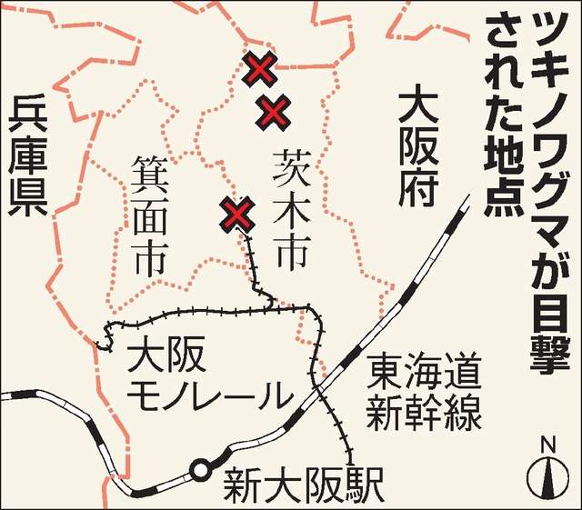 「クマがうろついている。会社の建物内に立てこもった」　阿賀野市の会社建物内にクマが閉じこもり《新潟》