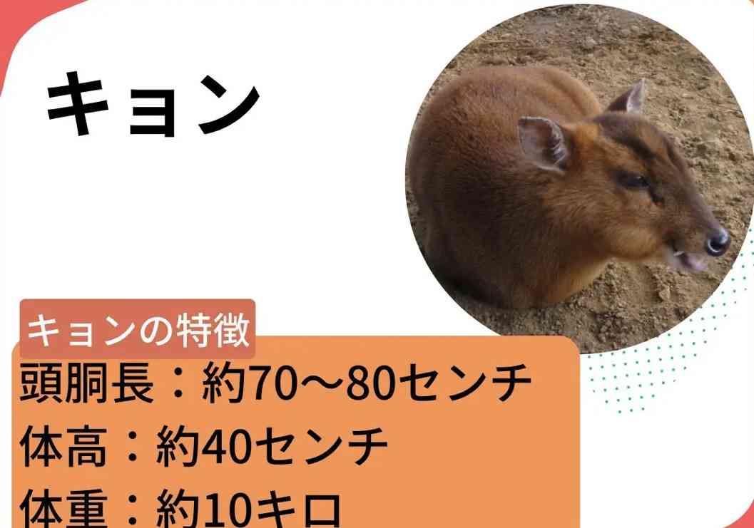 【下ネタ注意】エッチの時キュンとしたエピソード part14