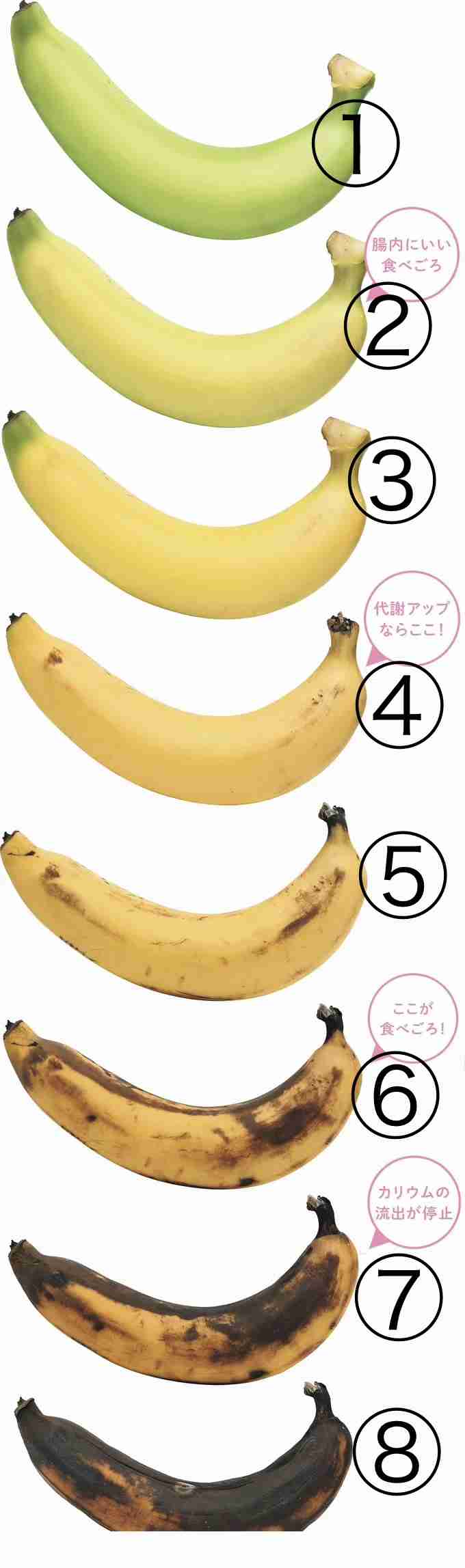 バナナどれくらいが好き?