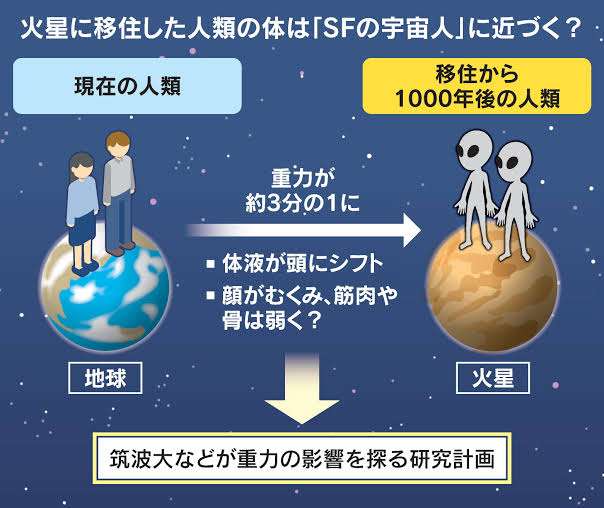 宇宙人は未来の地球人説
