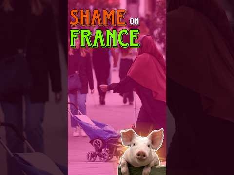 French Women Deserve Better ???|#shorts #france #pig #europe