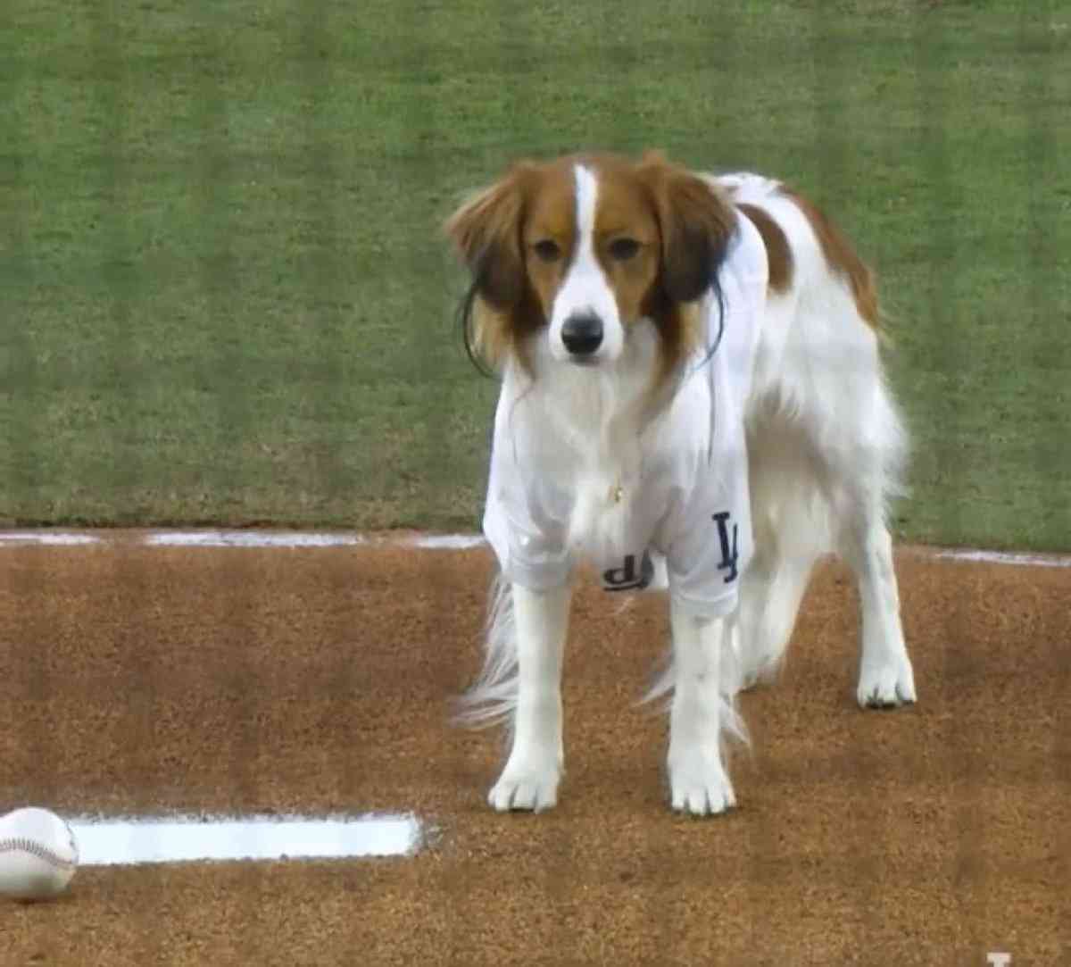 ドジャース完敗、２勝３敗で崖っぷち　大谷翔平２戦＆13打席連続安打なし…第６戦は山本由伸先発予定
