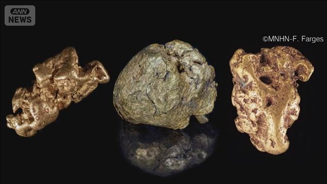 パリの博物館で先月発生の金塊窃盗　中国籍の女（24）を逮捕　溶かした金を所持（テレビ朝日系（ANN）） - Yahoo!ニュース