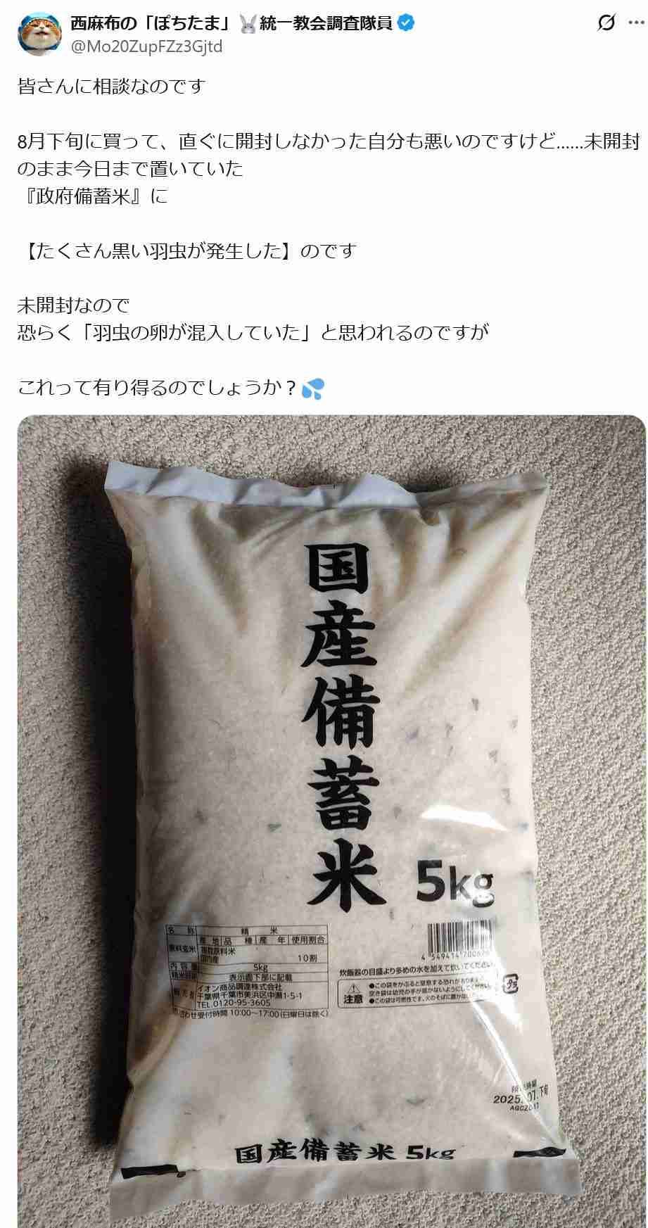 コメの民間輸入量、208倍に　今年度上半期、国産米高騰で