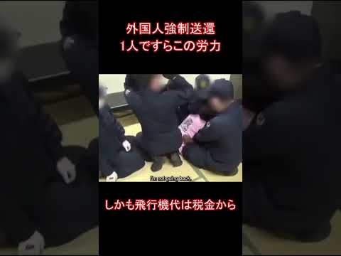外国人強制送還1人ですらこの労力