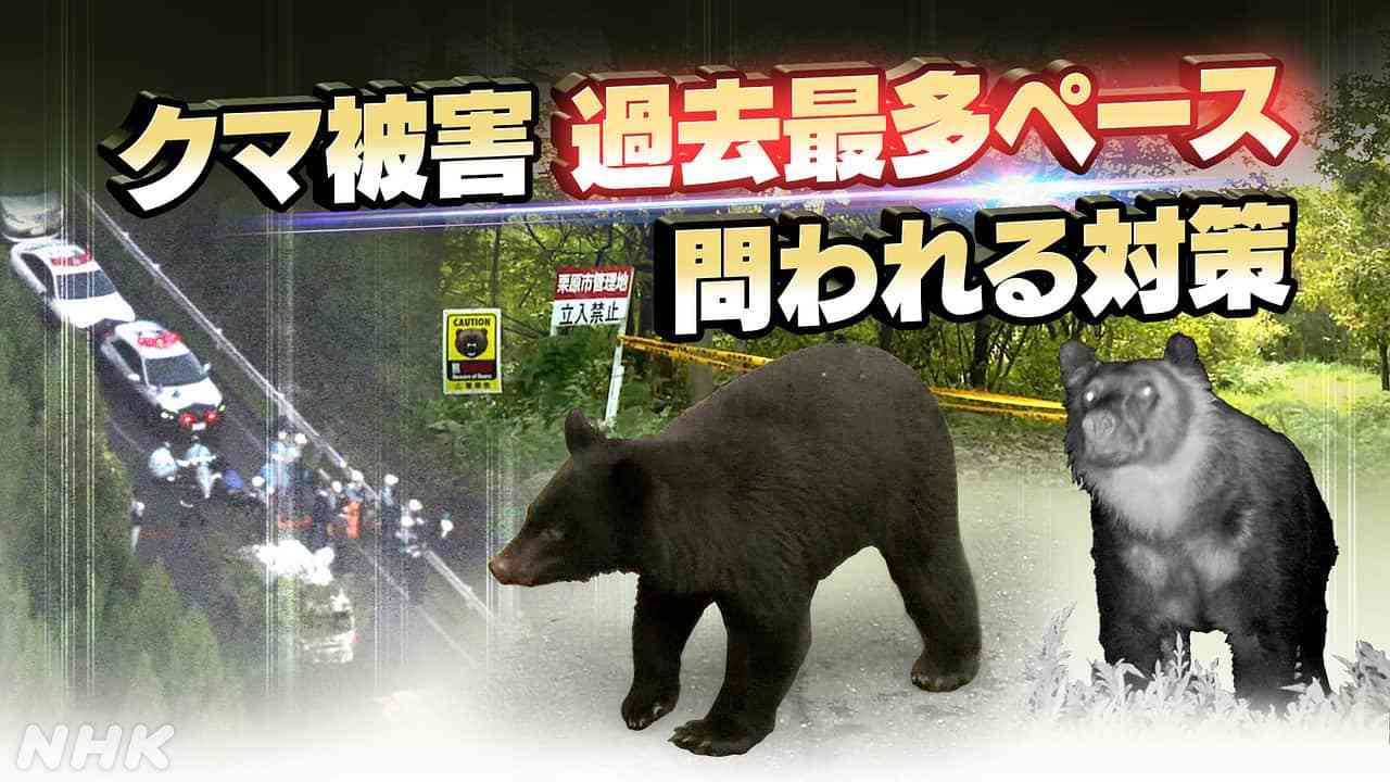 クマ被害過去最多ペース 問われる対策 | NHK