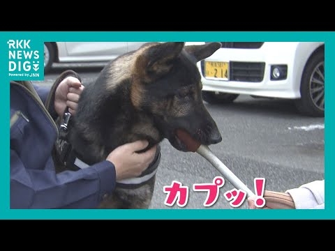 ぬかるんだ山道　新入り警察犬ジゲン号がスピード救助　ご褒美にジャーキー1キロ贈呈「今の気持ちは？」