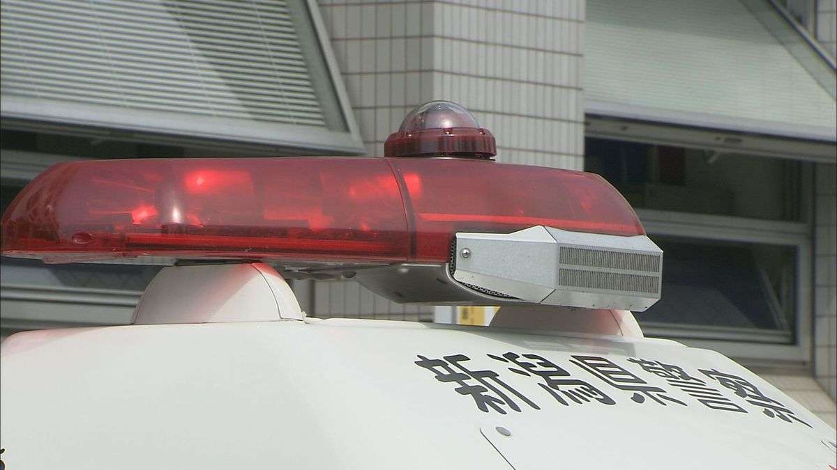 15歳の女子高校生を現行犯逮捕　80代女性の頭部をバットでたたきケガさせた疑い《新潟》（2025年10月24日掲載）｜TeNY NEWS NNN