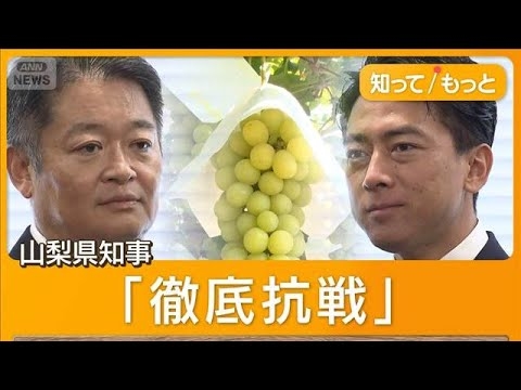 シャインマスカット 山梨知事が海外生産巡り農水省に「徹底抗戦」 海外に苗木流出も【もっと知りたい!】【グッド!モーニング】(2025年9月28日)