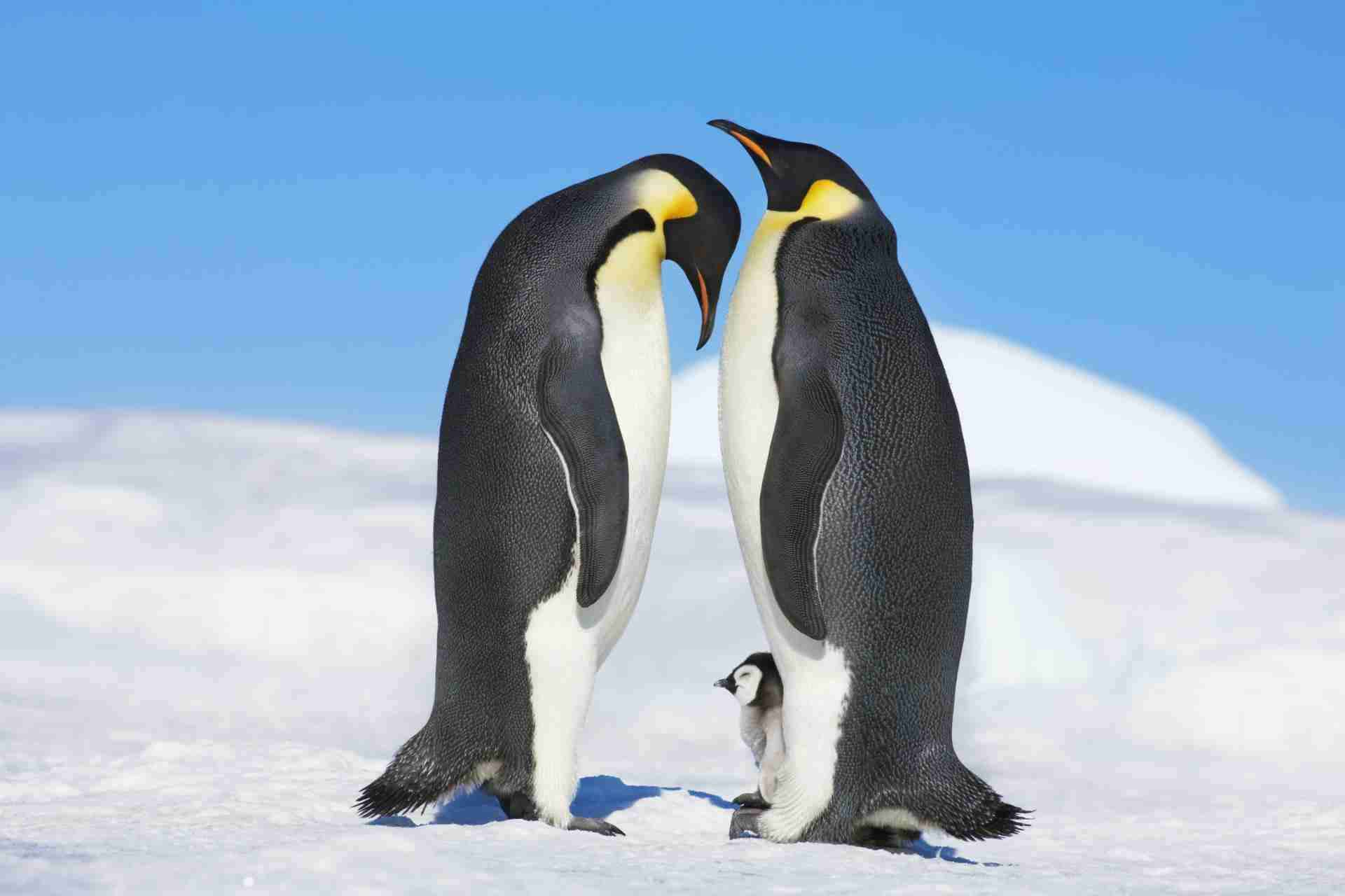 【正社員ワーママ】ワンオペ育児したことない人