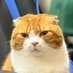 ねこさん on X