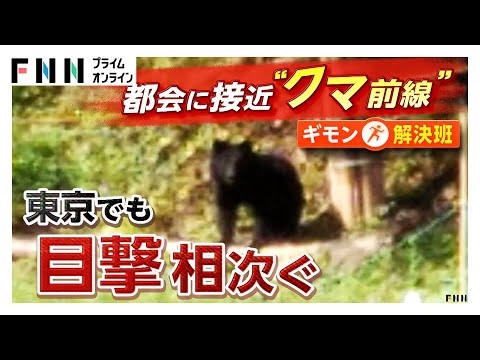 東京で多数目撃“クマ前線”府中・立川付近に出没する分析も…専門家「最近は圏央道近くに進出」山間部の個体数増加が原因か　実態把握が急務