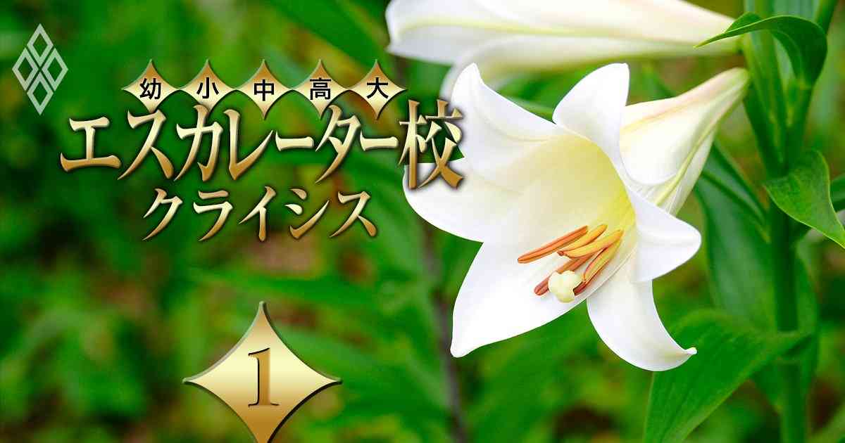 白百合女子大学を擁する名門女子校グループが「全国・全校で定員割れ」の衝撃！ついに初の男子募集を始めた実情とは | エスカレーター校 クライシス | ダイヤモンド・オンライン