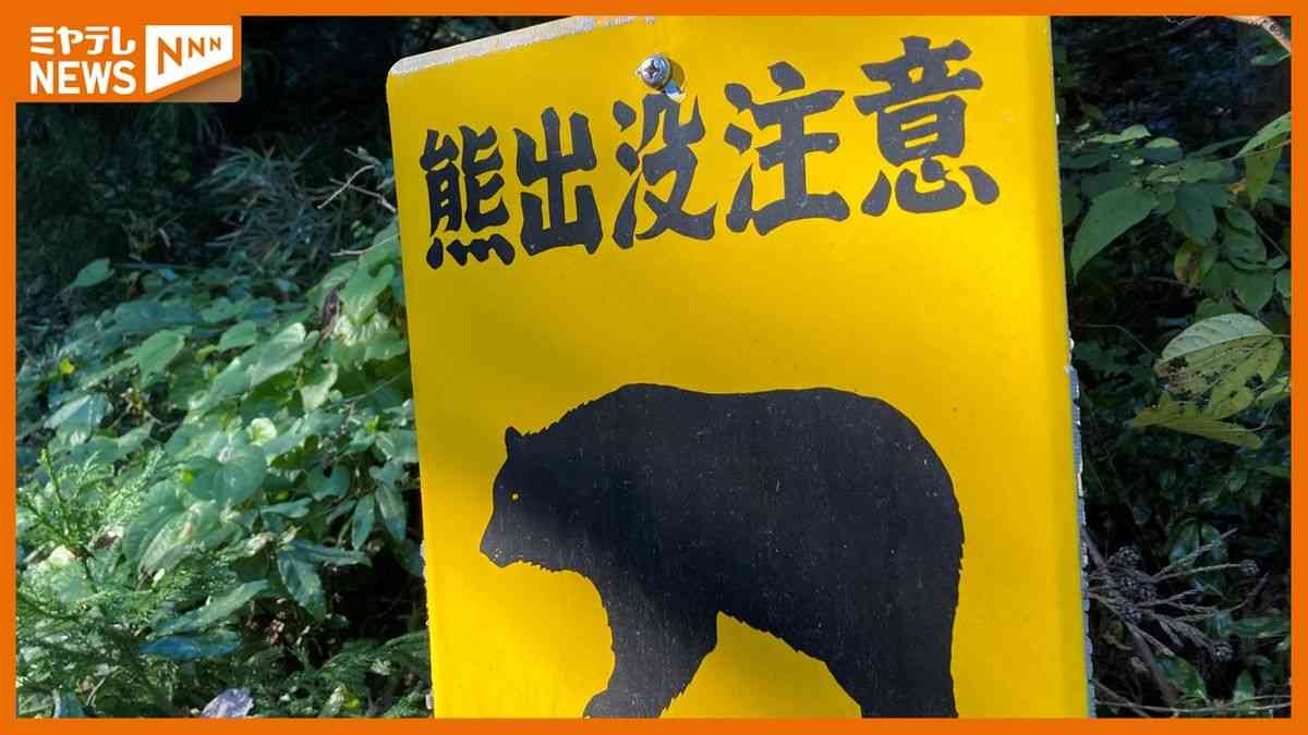 【クマの目撃相次ぐ】大衡村では国道でクマが轢かれ死ぬ　目撃されたエリア付近ではより一層の注意を〈宮城〉（2025年10月18日掲載）｜ミヤテレNEWS NNN