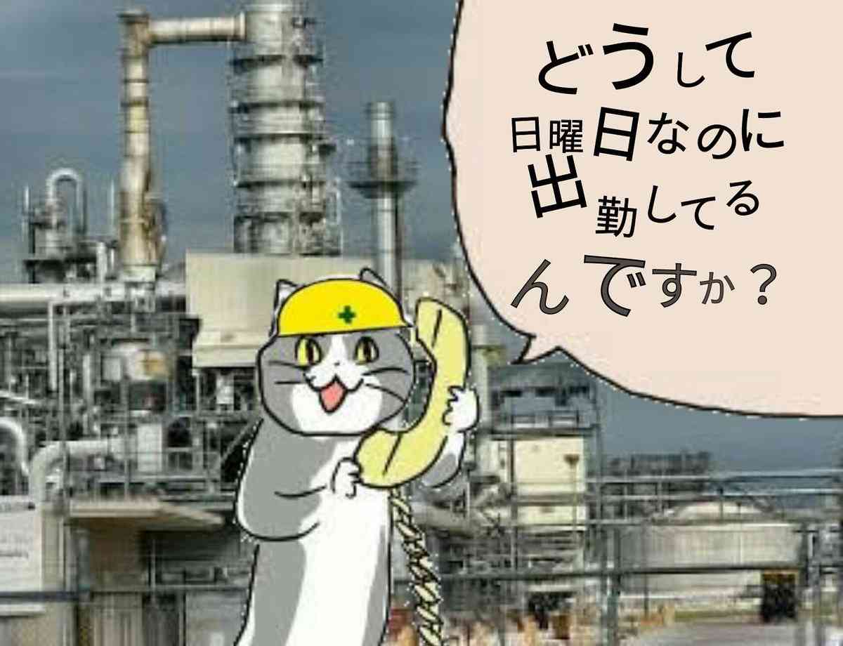 現場猫を見て癒されたい!Part9