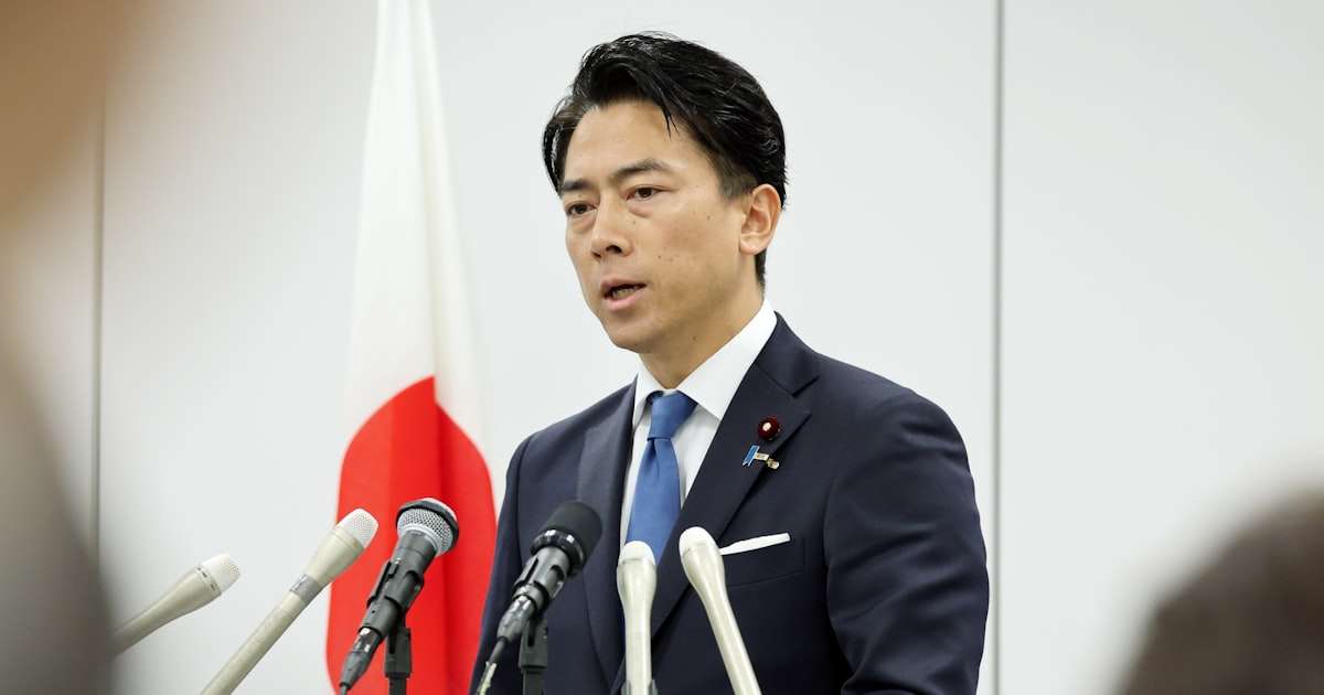 小泉進次郎氏、国内投資30年度に135兆円　夫婦別姓推進を封印 - 日本経済新聞