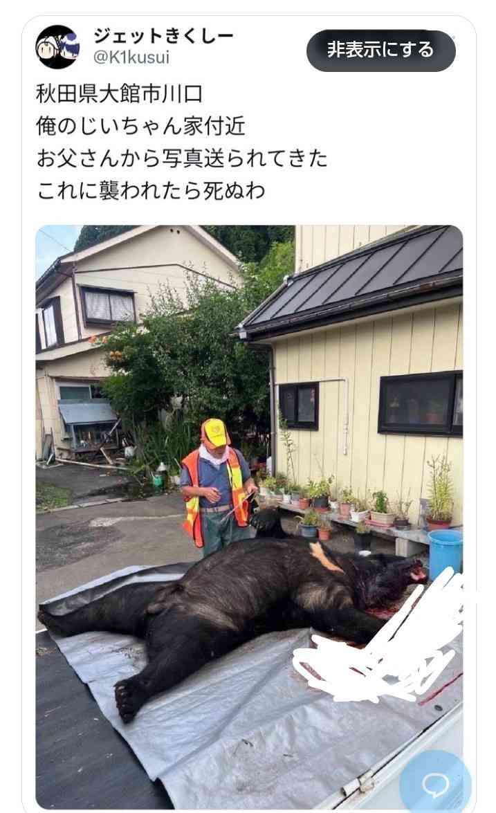 【ヒグマ速報】お腹の肉でっぷり！”400キロの巨大クマ ”カメラが捉える―広い範囲で連日出没…警戒続く〈北海道苫前町〉