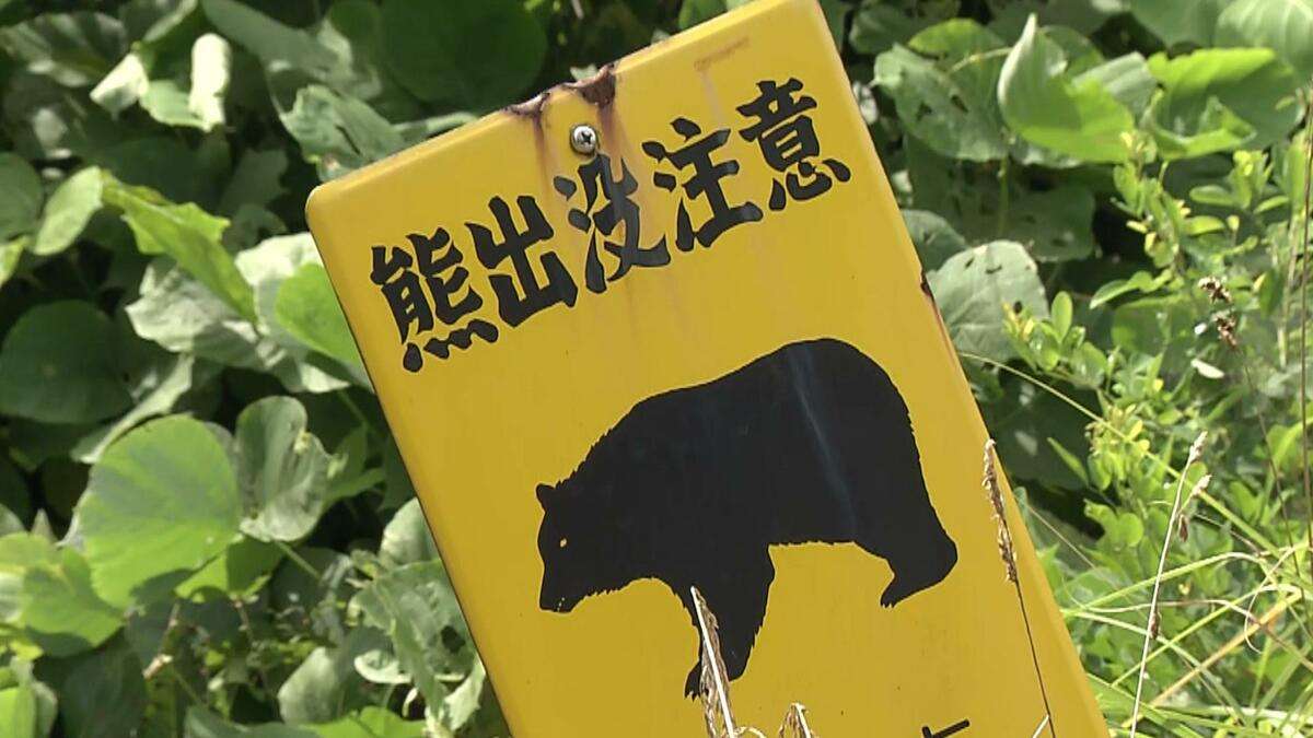 「80センチのクマが50センチの柴犬咥えて森に逃げた」クマも柴犬も行方分からず　宮城・大崎市 | 宮城のニュース│tbc NEWS│tbc東北放送 (1ページ)