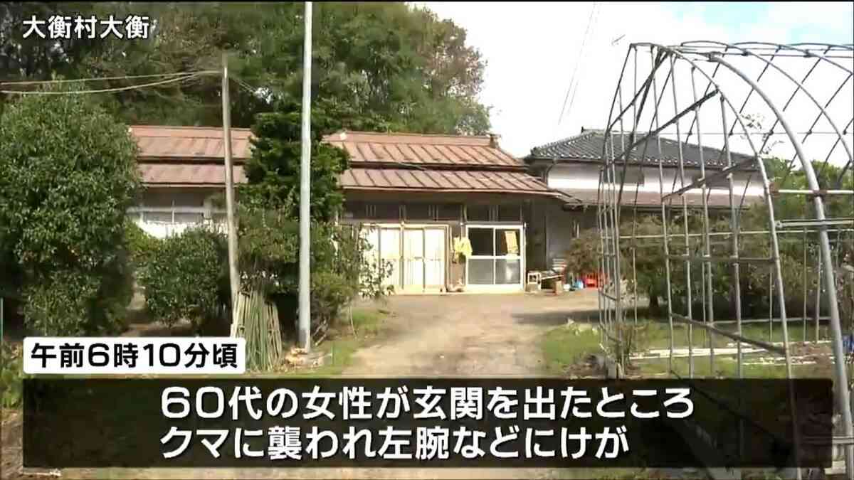 「玄関出たらクマと鉢合わせ」60代女性が襲われ左腕けが　宮城・大衡村 | 宮城のニュース│tbc NEWS│tbc東北放送 (1ページ)