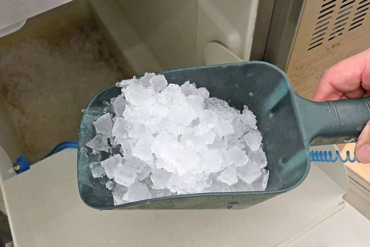 スーパー無料サービスの氷を14kg持ち帰った男が逮捕された本当の理由 | マネーポストWEB