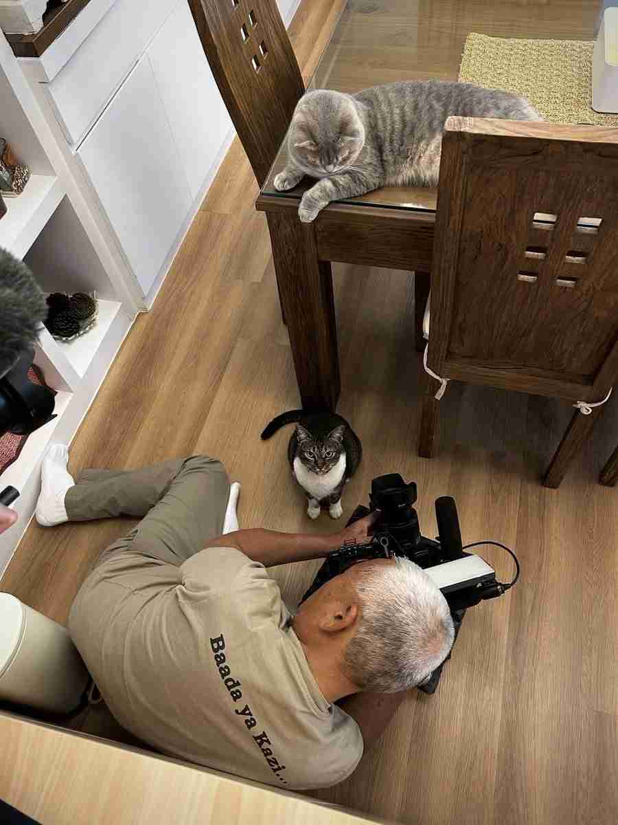 写真家・岩合光昭、「ネコ歩き」撮影中。“確信犯的に邪魔する”猫に「またやられています」