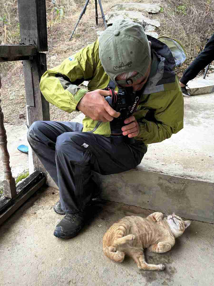 写真家・岩合光昭、「ネコ歩き」撮影中。“確信犯的に邪魔する”猫に「またやられています」