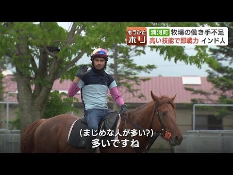 北海道のサラブレッドの町にインド人が300人以上　いったいなぜ？馬産地支える、インドからの“救世主”たち　馬の飼育などが得意な人材が豊富　北海道浦河町