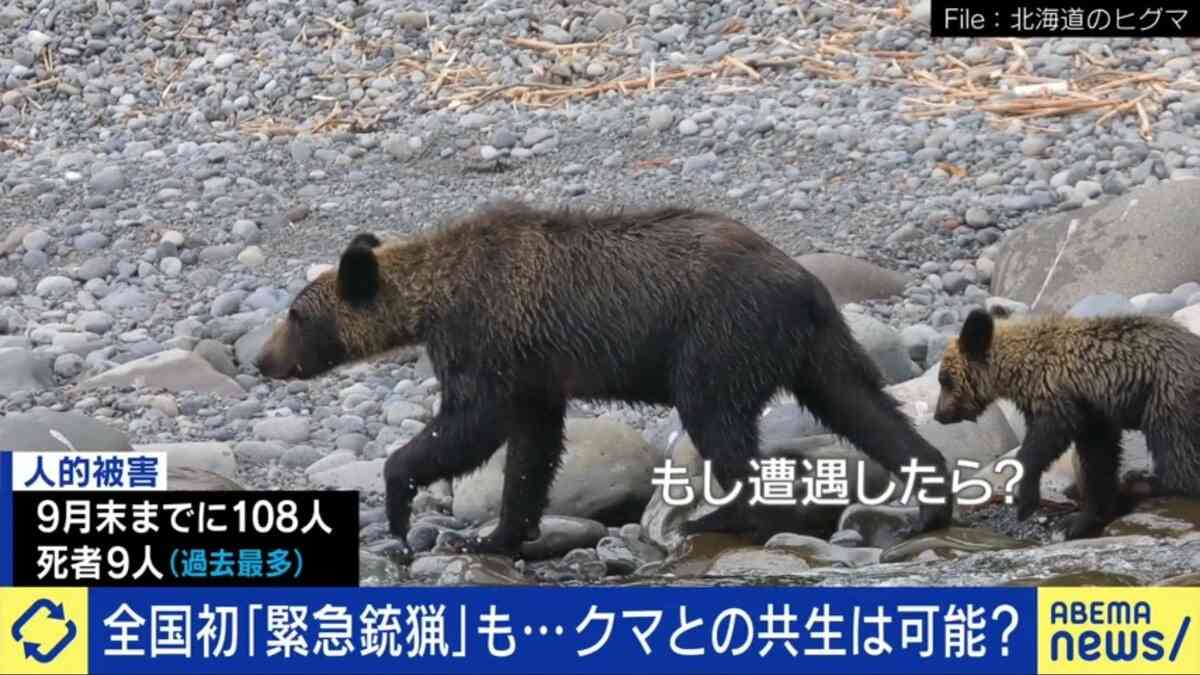 「人を食べる習慣を持つクマが増えている」全国的に増えるクマの人的被害「明らかに局面は変わった」と識者 市街地中心部、マンションや地下鉄駅前にも出没 | 国内 | ABEMA TIMES | アベマタイムズ