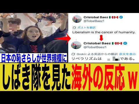 しばき隊の奇行を見た海外の反応がコチラwwwww【ゆっくり】