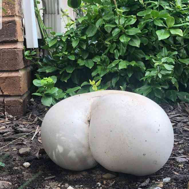 【ネタ注意】全くエロくないのにそういう風に見える画像を貼るトピ Part7