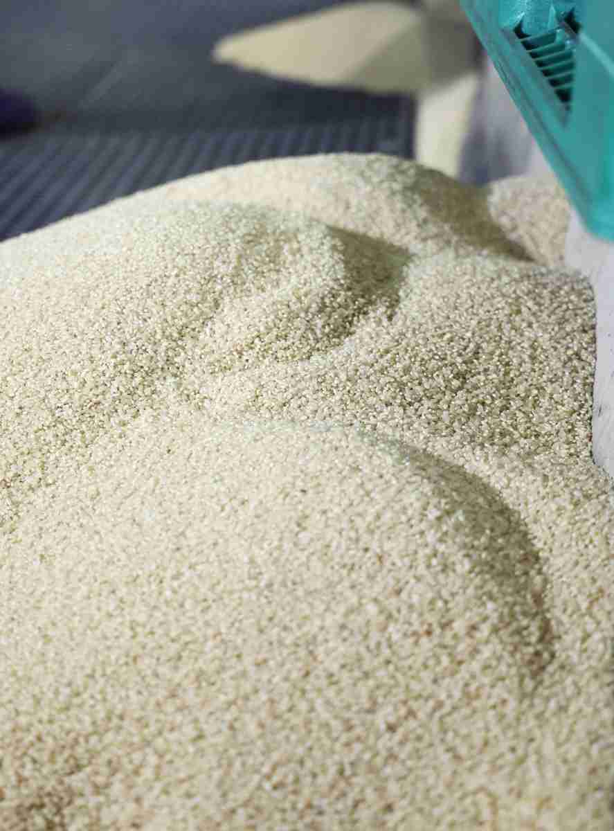 政府備蓄米、買い入れ再開へ　26年産、21万トン予定　農水省（時事通信） - Yahoo!ニュース