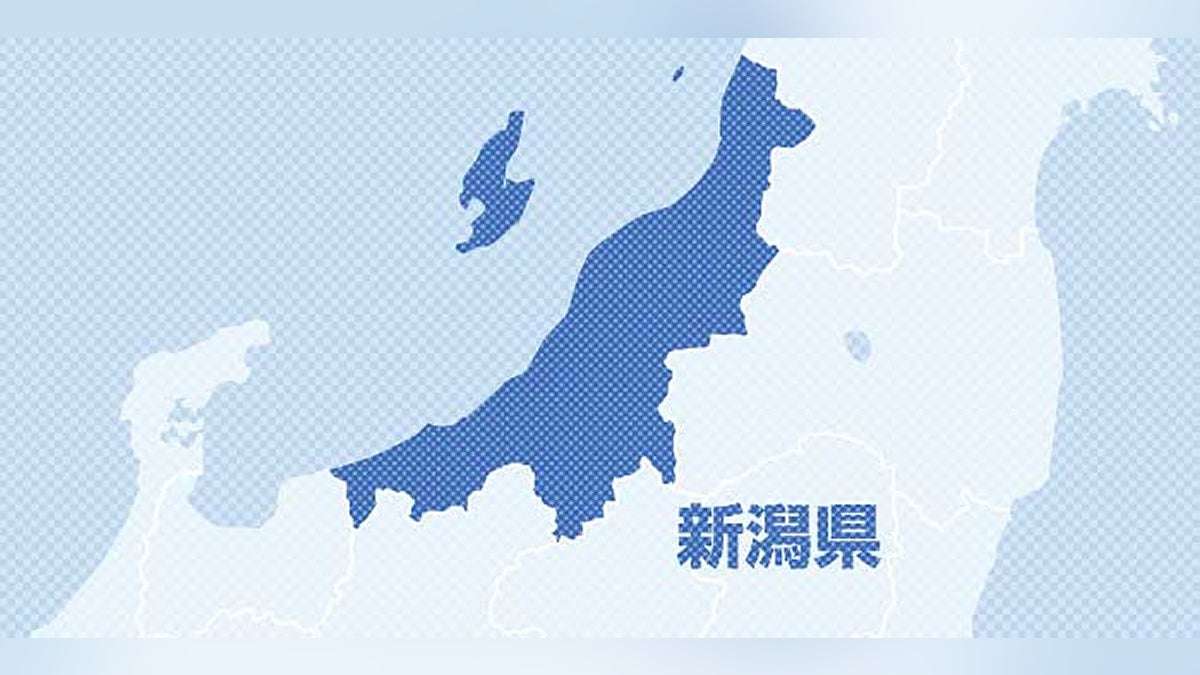 住宅街で柿の木から下りてきたクマ、７０代男性襲い逃げる…新潟・長岡 : 読売新聞