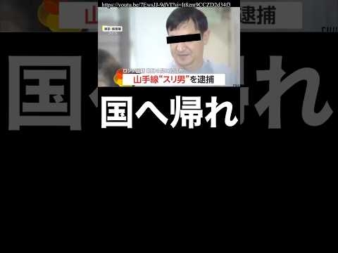【ロシア国籍の男】山手線でスリして逮捕に?! #スリ男 #ロシア #日露戦争 #プーチン政権 #プーチン大統領 #プーチン #ウクライナ #ウクライナ戦争 #山手線 #入国審査 #外国人 #犯罪
